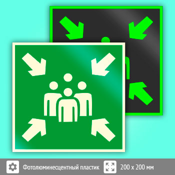 Знак E21 «Пункт (место) сбора» (фотолюминесцентный пластик, 200х200 мм)